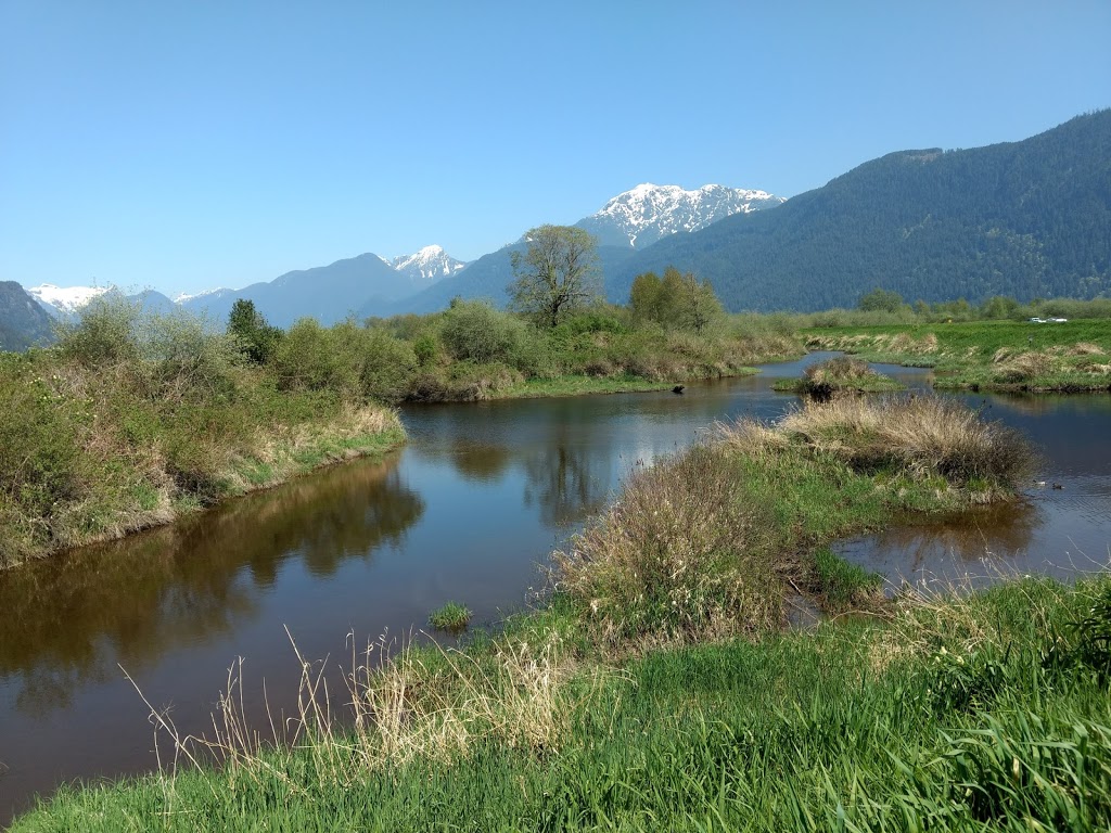 Pitt Polder Ecological Reserve | Pitt Meadows, BC V3Y, Canada