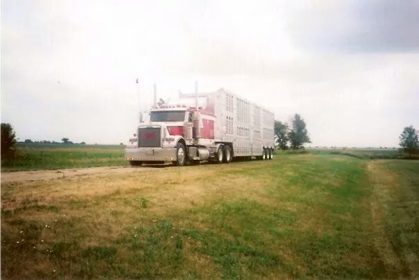 Lloyd Hutton Transport Ltd | 235 Canrobert St, Paisley, ON N0G 2N0, Canada | Phone: (800) 361-3166