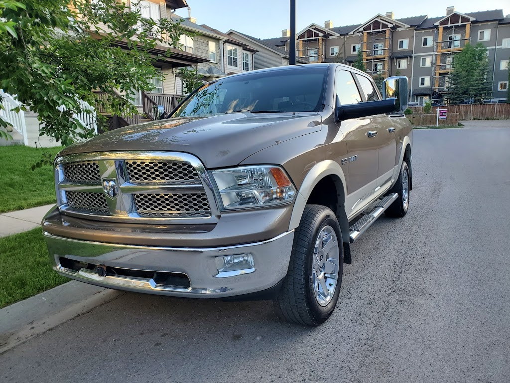 Dignity Detailing & Auto Care | 374 Magnolia Square SE, Calgary, AB T3M 2W4, Canada | Phone: (403) 498-8882
