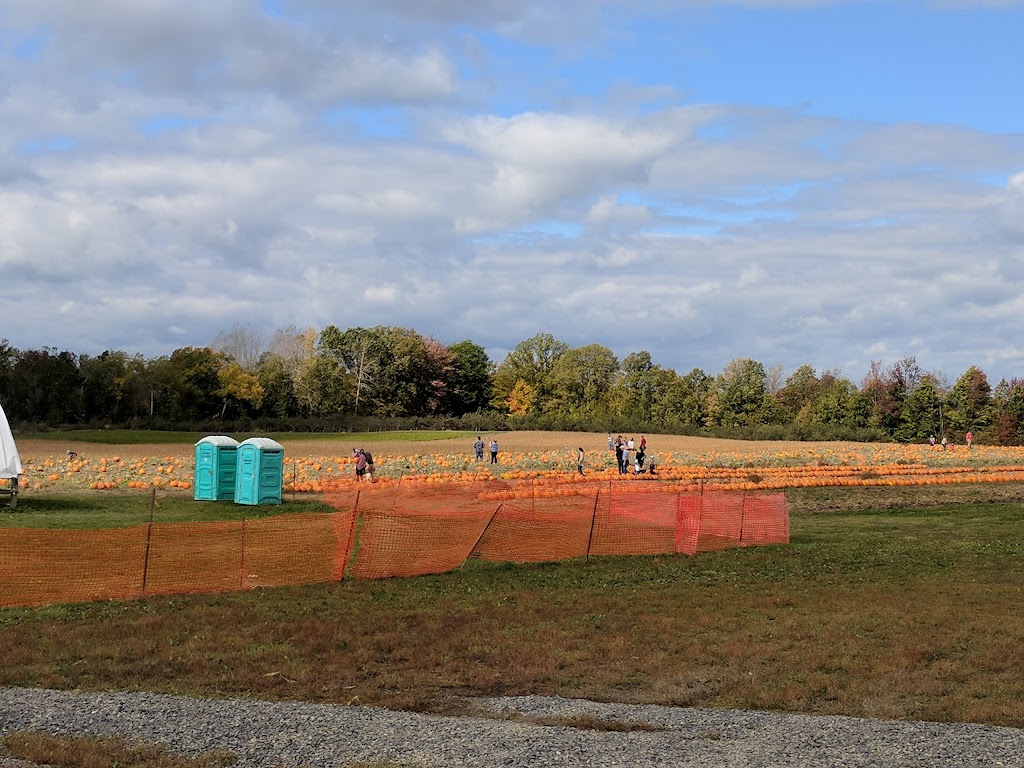 Fruition Berry Farm | 3208 Hughes Rd, Kingston, ON K7L 4V3, Canada | Phone: (613) 548-3378