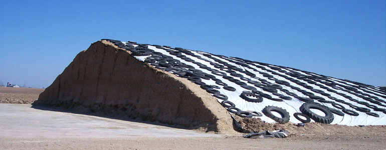 Canadian Hay & Silage Ltd | 60001, Rge Rd 23A, Barrhead, AB T0G 0G0, Canada | Phone: (780) 206-4666