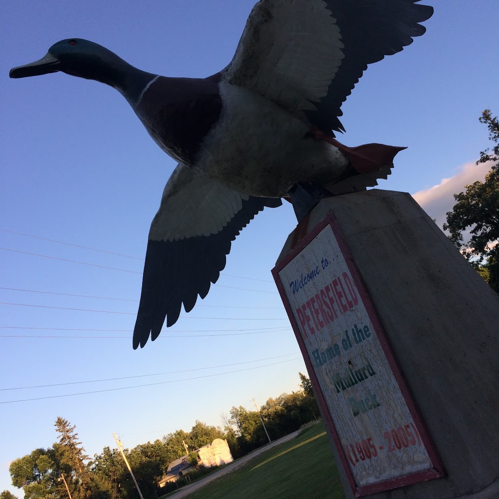 Petersfield Mallard Duck Statue | 8949 Provincial Trunk Hwy 9, Petersfield, MB R0C 2L0, Canada