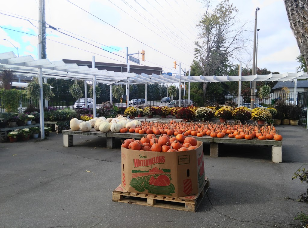 Mississauga Greenhouses Ltd. | 3225 Winston Churchill Blvd, Mississauga, ON L5L 2W1, Canada | Phone: (905) 820-9789