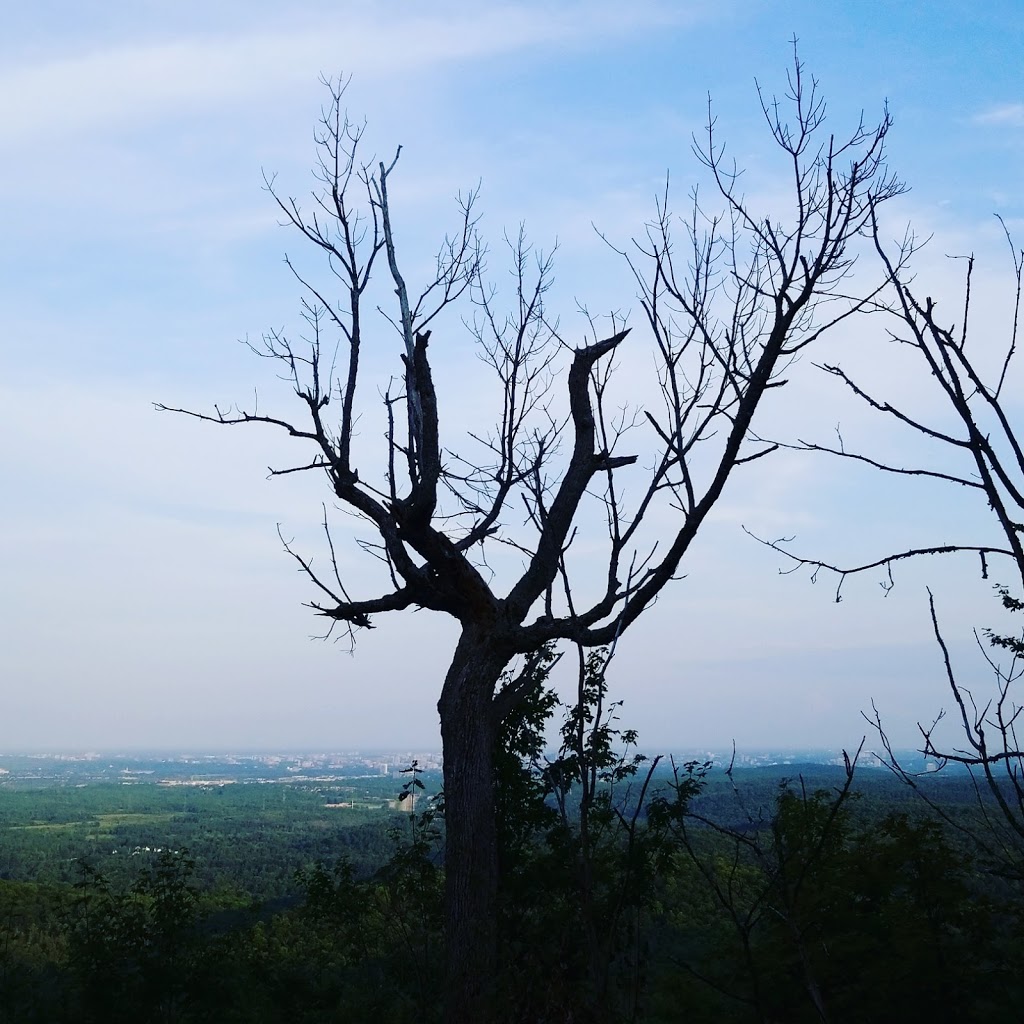 P7 Gatineau Park | 206 Chemin Kingsmere, Chelsea, QC J9B 1G8, Canada
