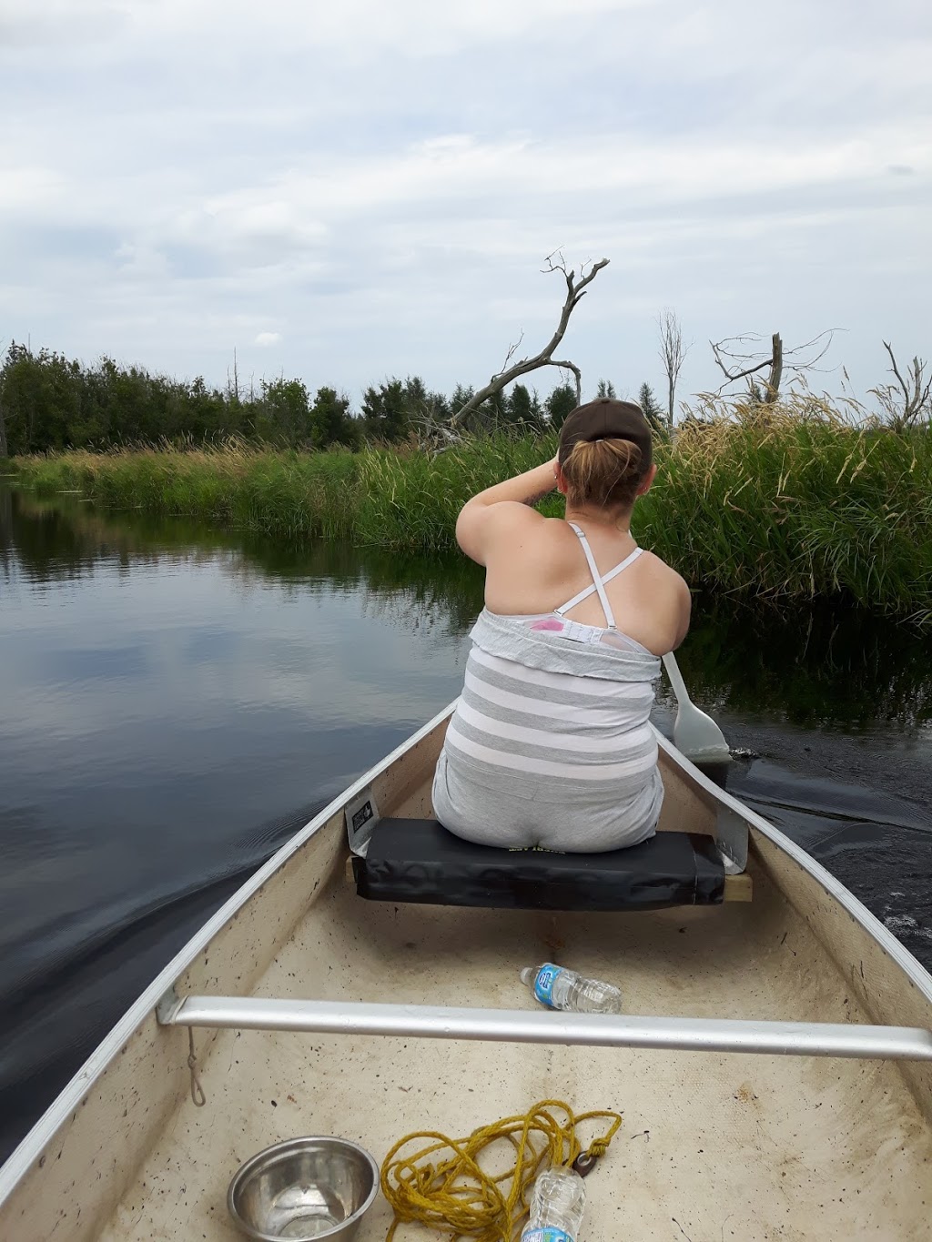 Wetland, River | 301-445 Golf Course Rd, Janetville, ON L0B 1K0, Canada