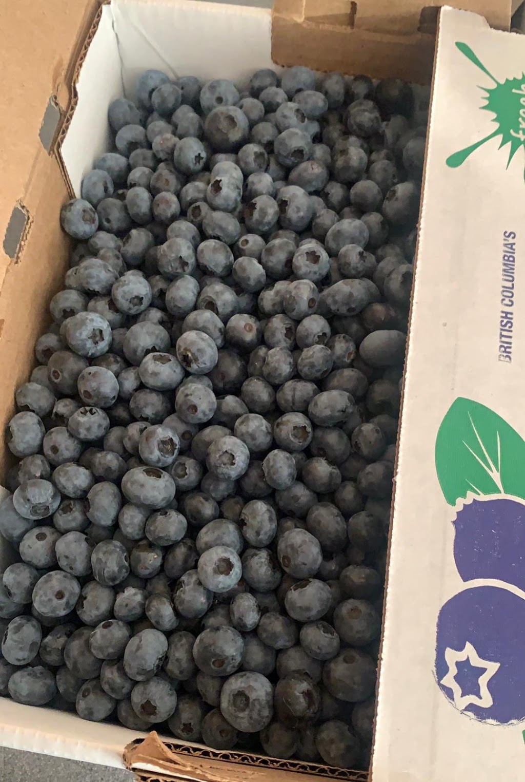 Dulay Brother Farms | 19809 Old Dewdney Trunk Rd, Pitt Meadows, BC V3Y 2R8, Canada | Phone: (604) 465-0820