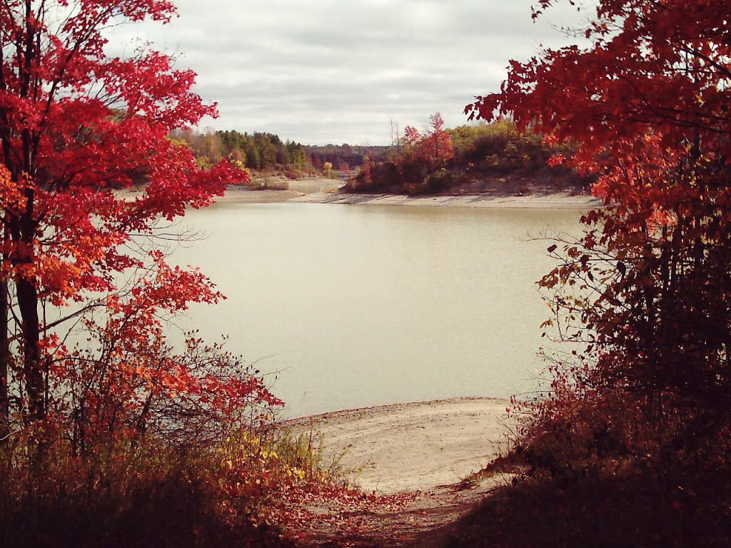 Parkhill Conservation Area | Parkhill, ON N0M 2K0, Canada | Phone: (519) 294-6121