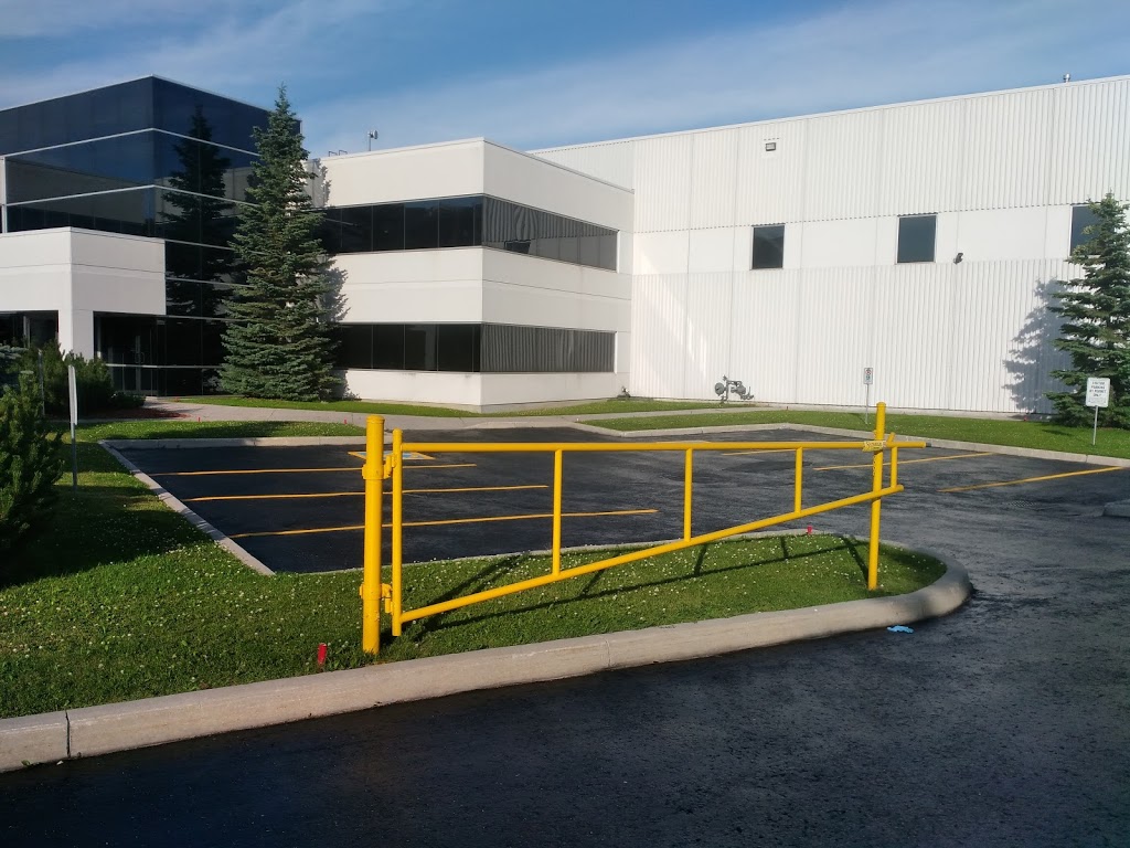 Reggies | 343 Victoria St, Clinton, ON N0M 1L0, Canada | Phone: (519) 897-7325