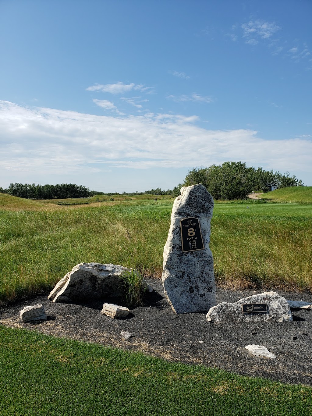Coal Creek Golf Resort | 18112, Township Rd 492, Ryley, AB T0B 4A0, Canada | Phone: (780) 663-2473