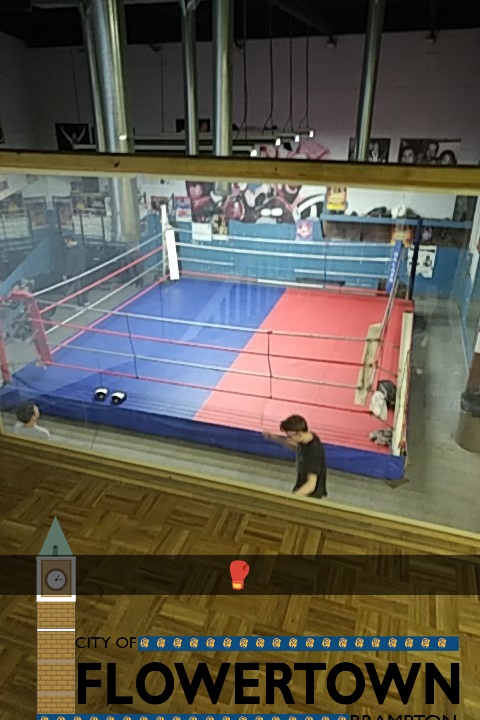 Champion Boxing Club | 8550 Torbram Rd, Brampton, ON L6T 5C8, Canada | Phone: (905) 791-4793
