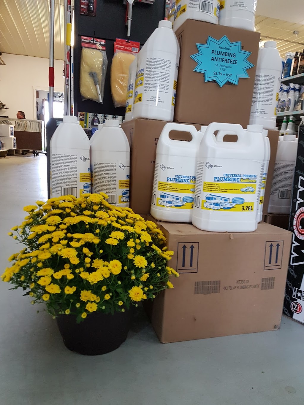 Bayfield Marine Services | 23 Fishermans Wharf Rd, Bayfield, ON N0M 1G0, Canada | Phone: (519) 565-2411
