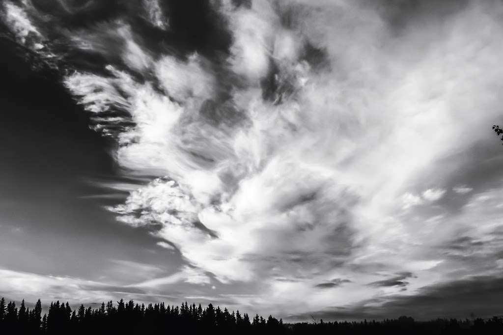 The Seven Seeds | 119 Jumping Pound Terrace, Cochrane, AB T4C 0K6, Canada | Phone: (403) 815-7279