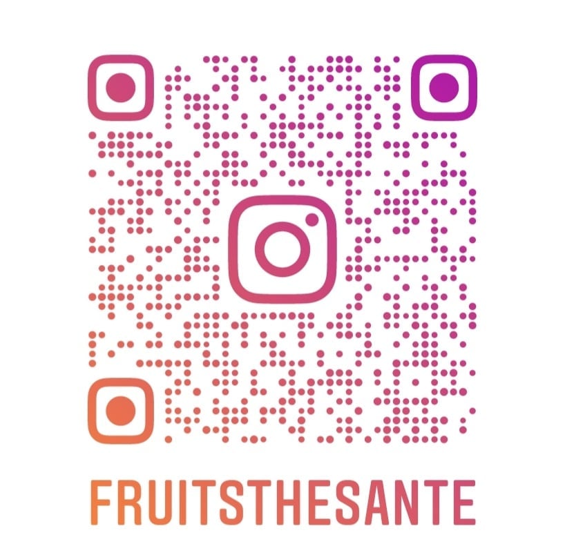 Fruits the sante | 5500 Rue Rodrigue suite 124, Terrebonne, QC J7M 2C1, Canada | Phone: (450) 417-9550
