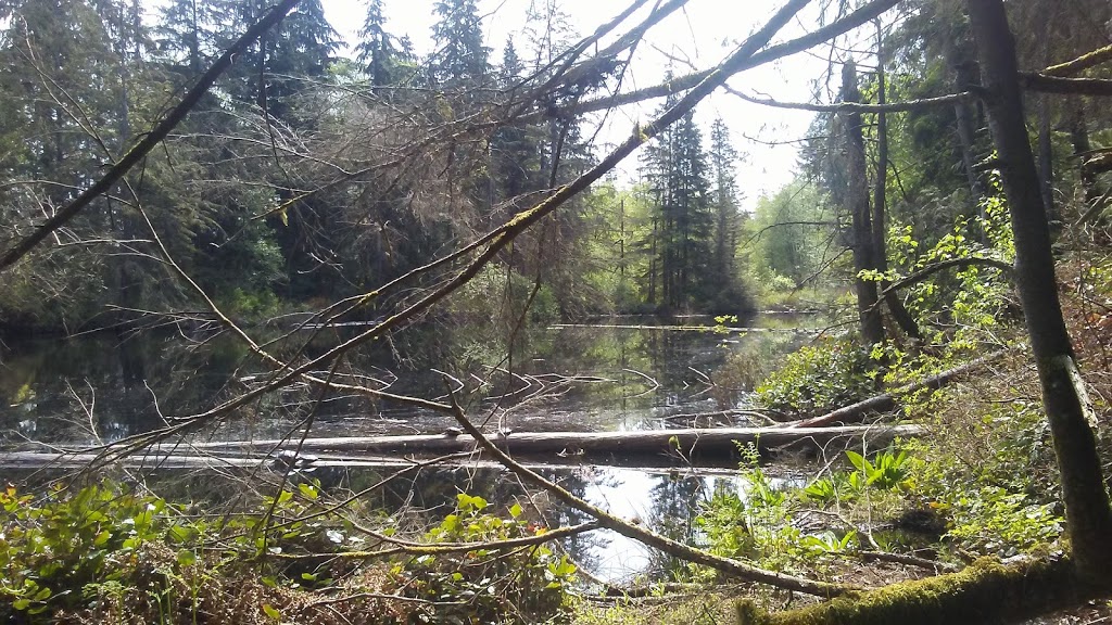 Mundy Park Bike Skills Trail - Beginner Loop | Mariner Way, Coquitlam, BC V3K 1N4, Canada | Phone: (604) 927-3000