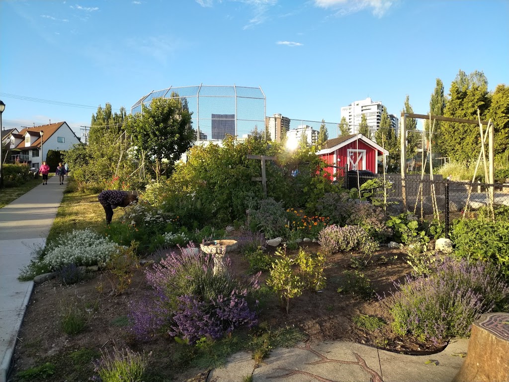 Queen Mary Community Garden | 280 W Keith Rd #200, North Vancouver, BC V7M 2M5, Canada | Phone: (604) 988-2497