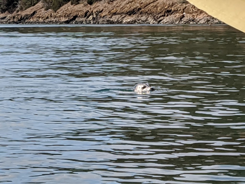 Burrows Island Marine State Park | Anacortes, WA 98221, USA