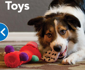 PetSmart | 120 Portia Drive Unit 7, Suite, ON L9G 0G1, Canada | Phone: (905) 648-8958