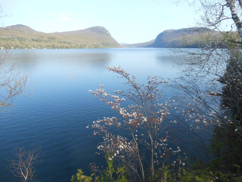 Carol Anns Rentals | 615 Fiske Rd, Barton, VT 05822, USA | Phone: (802) 525-4132