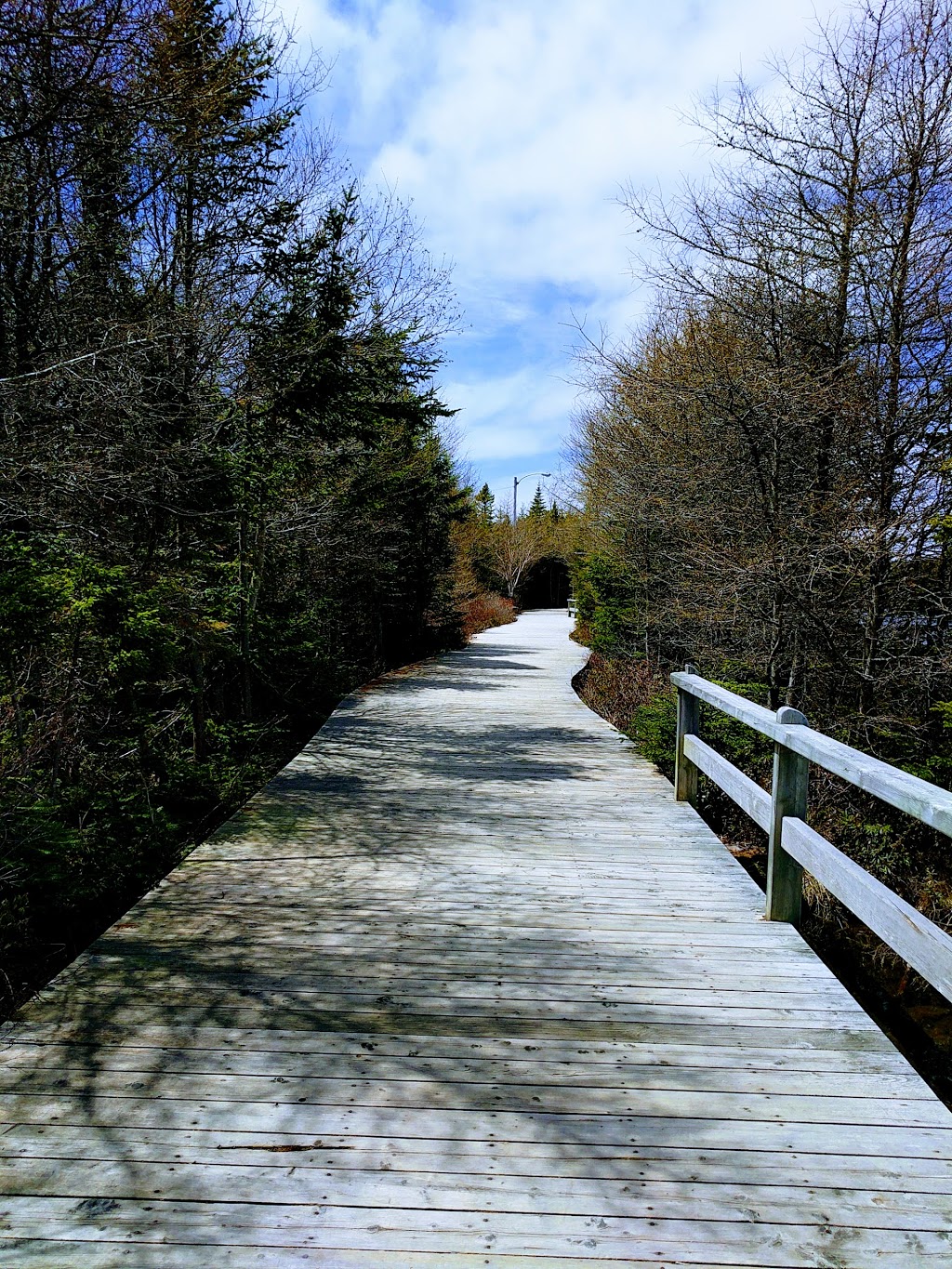 Mount Pearl Dog Park | 43 Clyde Ave, Mount Pearl, NL A1N 4S2, Canada | Phone: (709) 748-1047