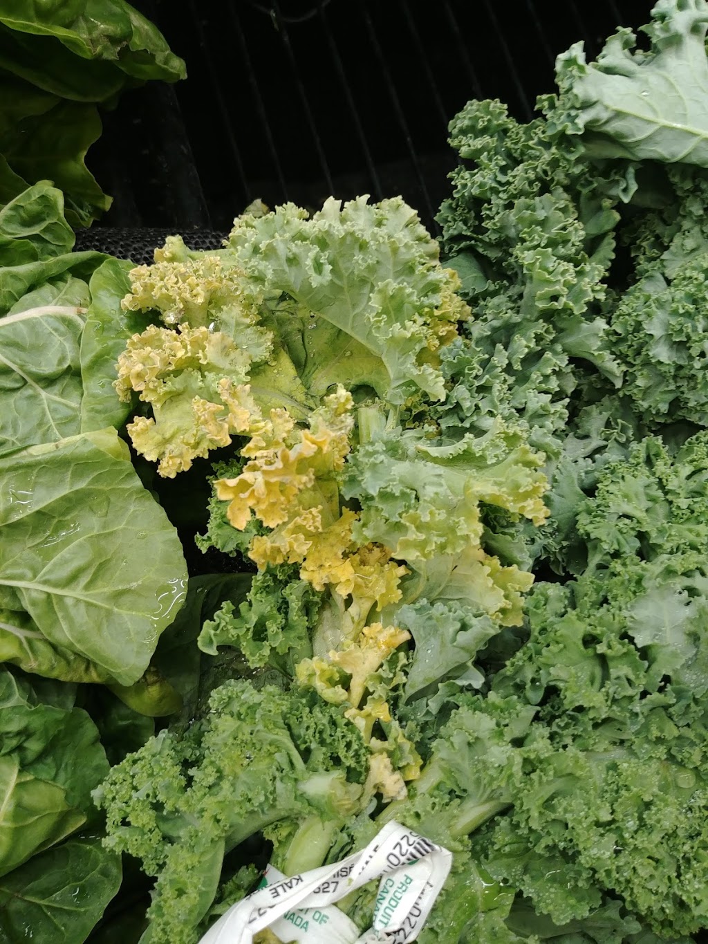 Freshco | 161 Young St, Alliston, ON L9R 2A9, Canada | Phone: (705) 434-9512