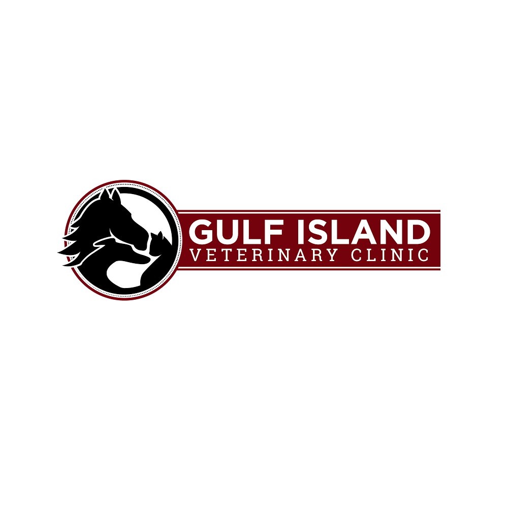 Gulf Island Veterinary Clinic | 540 Lower Ganges Rd, Salt Spring Island, BC V8K 2P6, Canada | Phone: (250) 537-5334