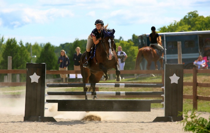 New Beginnings Equine Stables | 238 Hayes Line, Omemee, ON K0L 2W0, Canada | Phone: (705) 927-5974