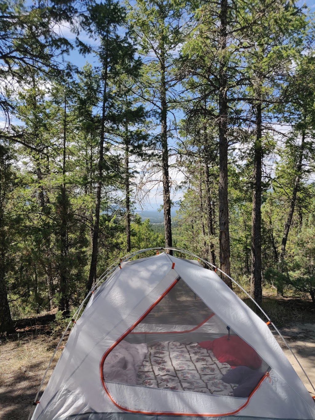 Redstreak Campground | Redstreak Campground Rd, East Kootenay G, BC V0A 1M0, Canada | Phone: (877) 737-3783