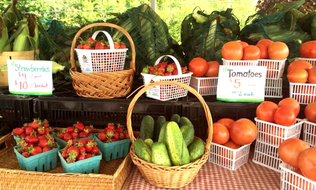 McGregors Produce - Calabogie Market Stand | 4709 Calabogie Rd, Calabogie, ON K0J 1H0, Canada | Phone: (613) 432-9726