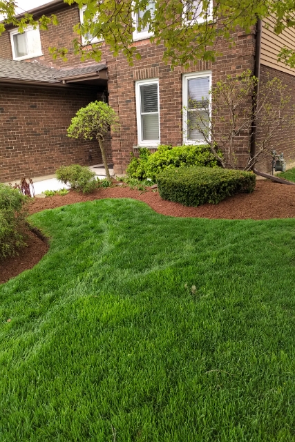 Alpine Lawncare & Snowplowing | 1803 Erbs Rd, St. Agatha, ON N0B 2L0, Canada | Phone: (519) 897-3401