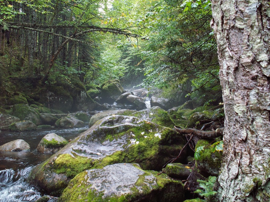 Parc National de la Jacques-Cartier | 103 Chemin du Parc-National, Stoneham-et-Tewkesbury, QC G3C 2T5, Canada | Phone: (418) 848-3169