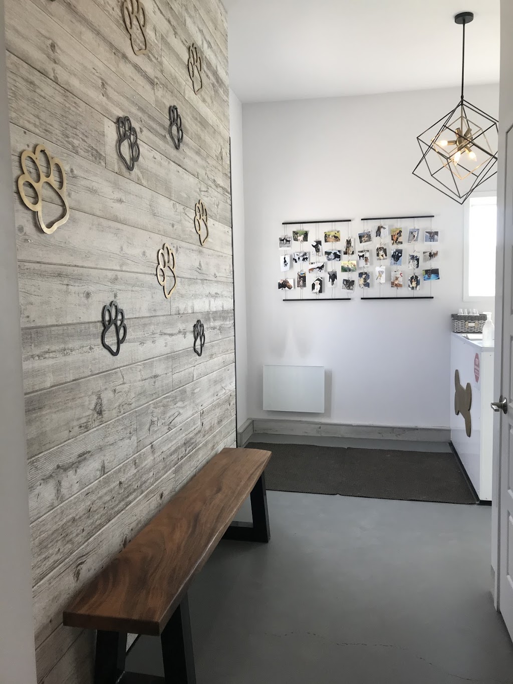 Spa Hôtel Le Canin | 5827 Chem. Beaudette, Sherbrooke, QC J1N 3B8, Canada | Phone: (819) 679-2999