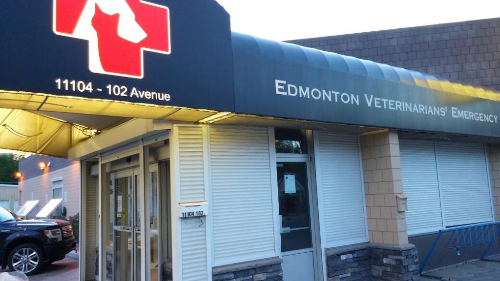 Panther Gym | 11104 102 Ave, Edmonton, AB T5K 2H4, Canada | Phone: (780) 718-6161