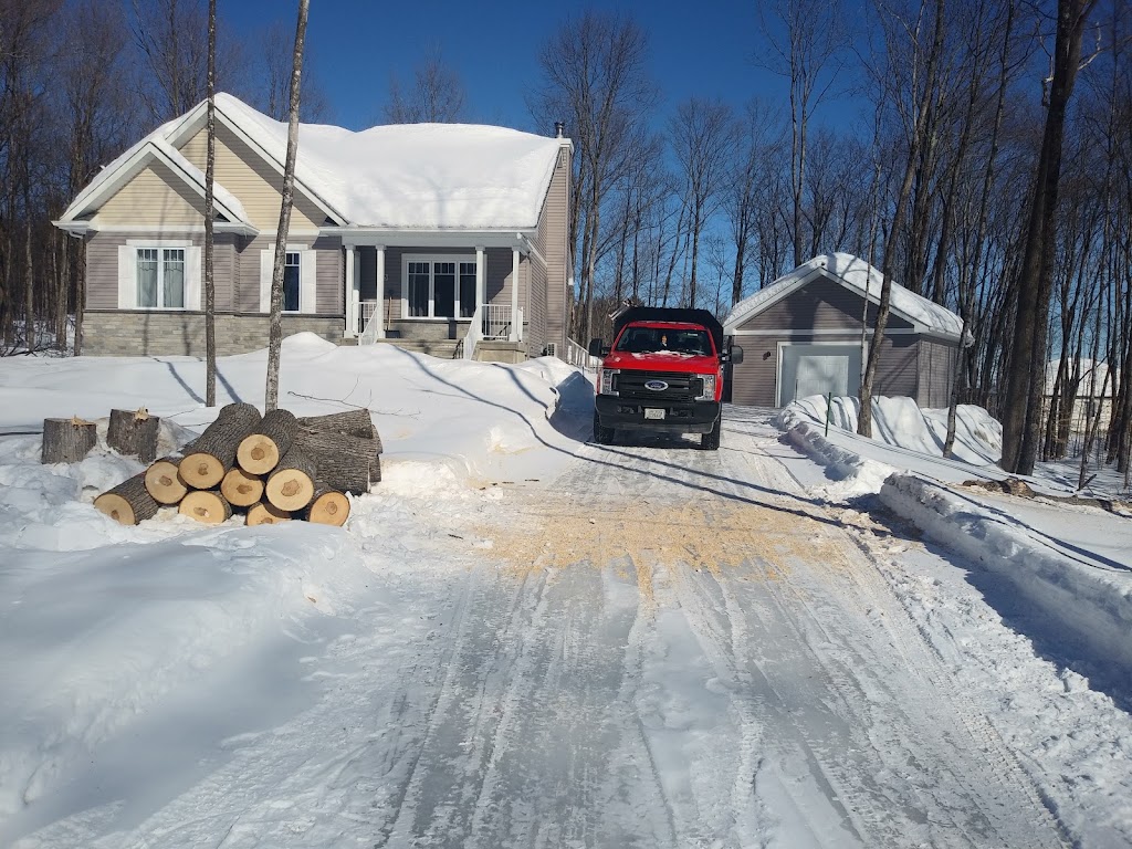 Élagage JM Abattage darbres - Laurentides | 2 Chem. des Tourterelles, Saint-Sauveur, QC J0R 1R1, Canada | Phone: (514) 833-1490
