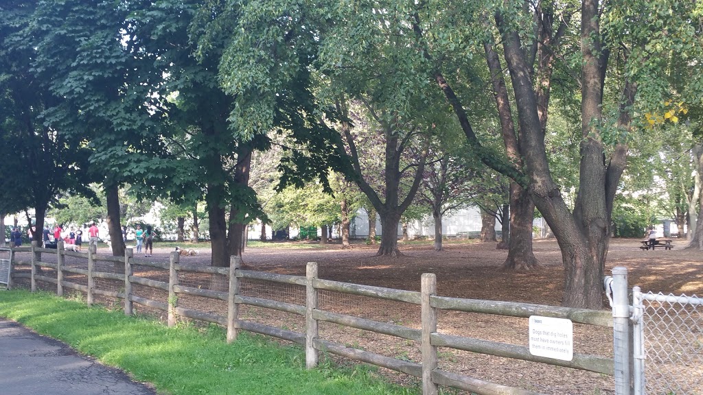 Coronation Park Offleash Dog Park | Niagara, Toronto, ON M5V 1A7, Canada | Phone: (416) 338-4386