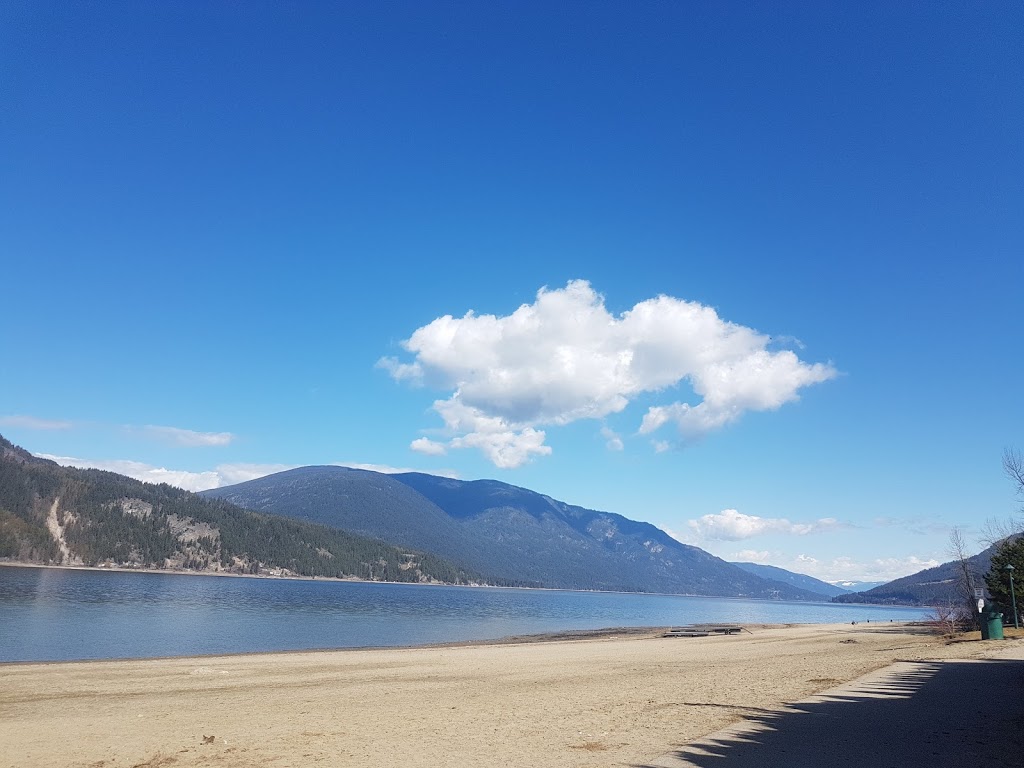 Top Jimmys Canoe Beach Cafe | 7720 36 St NE, Salmon Arm, BC V1E 2A9, Canada | Phone: (403) 618-9704