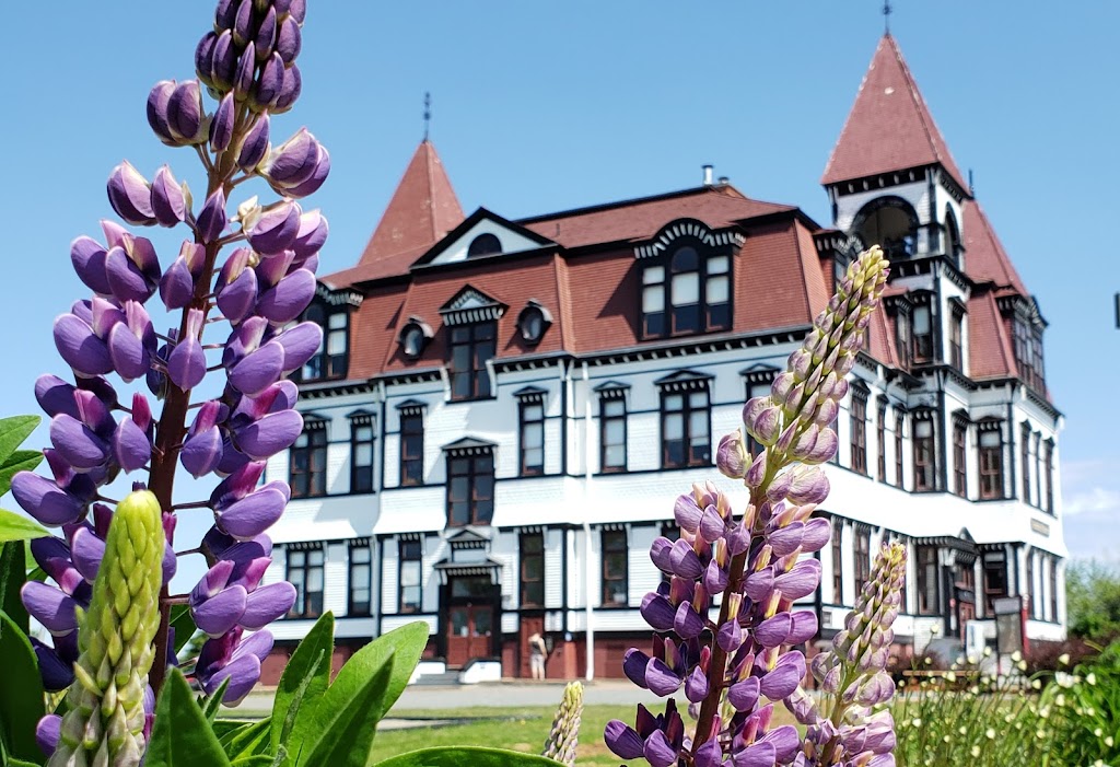 Lunenburg Walking Tours | 97 Kaulbach St, Lunenburg, NS B0J 2C0, Canada | Phone: (902) 521-6867