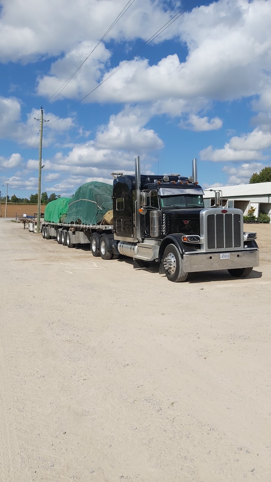 AVK Nursery Holdings Inc. | 1724 Concession 4 W, Rockton, ON L0R 1X0, Canada | Phone: (519) 647-3997