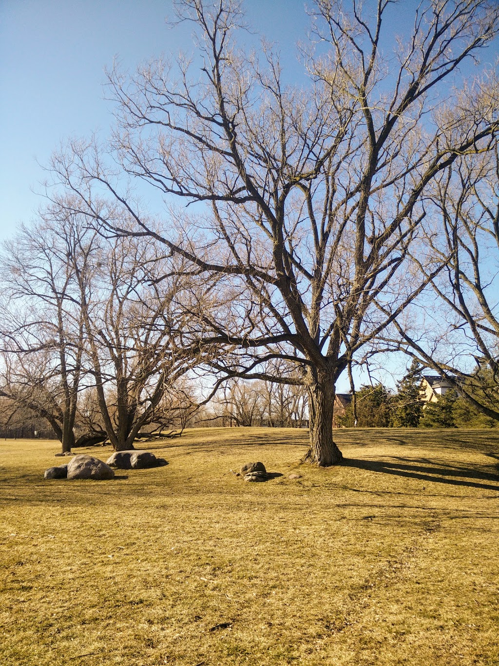 Applewood Heights Park | 3119 Joel Kerbel Pl, Mississauga, ON L4Y 0B1, Canada