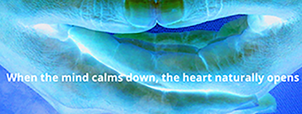 Berdhanya Teachings | 36 Simcoe St, Ottawa, ON K1S 1A4, Canada | Phone: (613) 867-5594