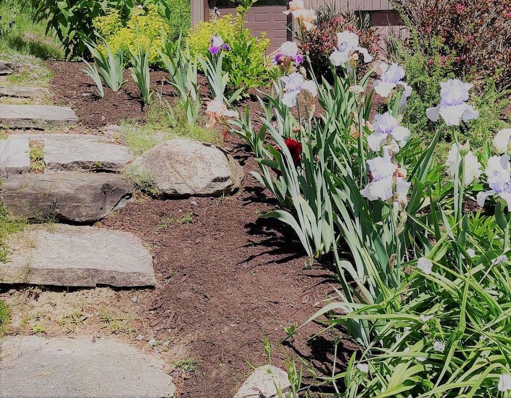 Alliston Garden Solutions | 22 Swenson St, Alliston, ON L9R 0J8, Canada | Phone: (705) 440-8636