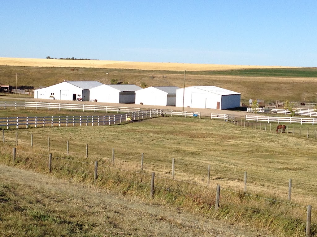 OBrays Equine Services | 29509 Hwy 2A, Carstairs, AB T0M 0N0, Canada | Phone: (403) 337-4006
