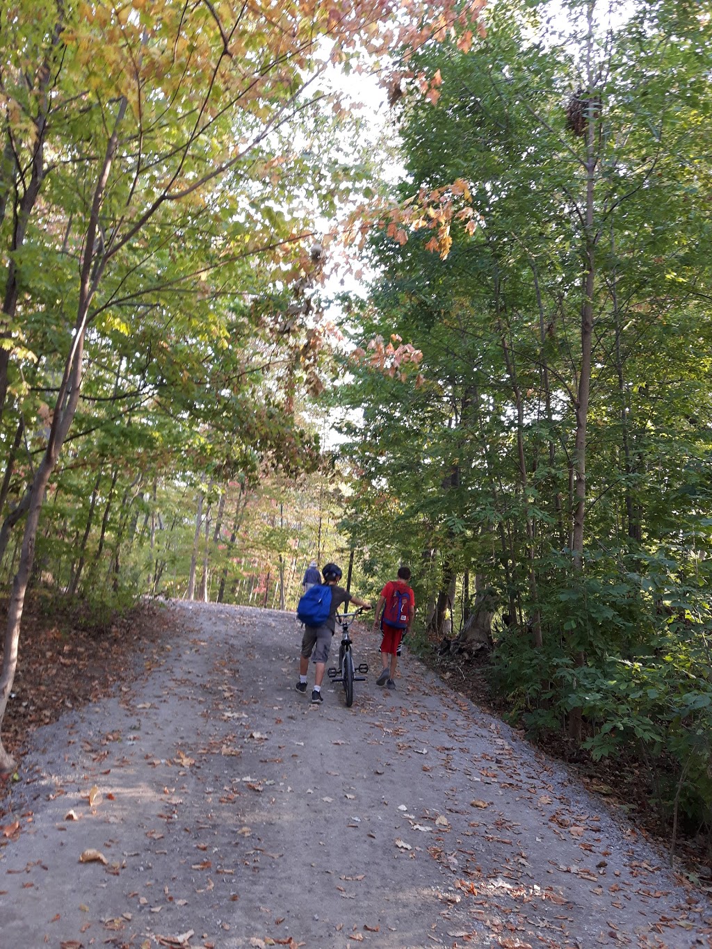 South Common Park | 3501 Glen Erin Dr, Mississauga, ON L5L 2E9, Canada | Phone: (905) 615-4311
