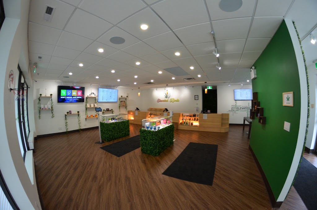Elevated Minds Cannabis | 570 Hwy 8 Unit 2, Stoney Creek, ON L8G 4M2, Canada | Phone: (905) 930-8511