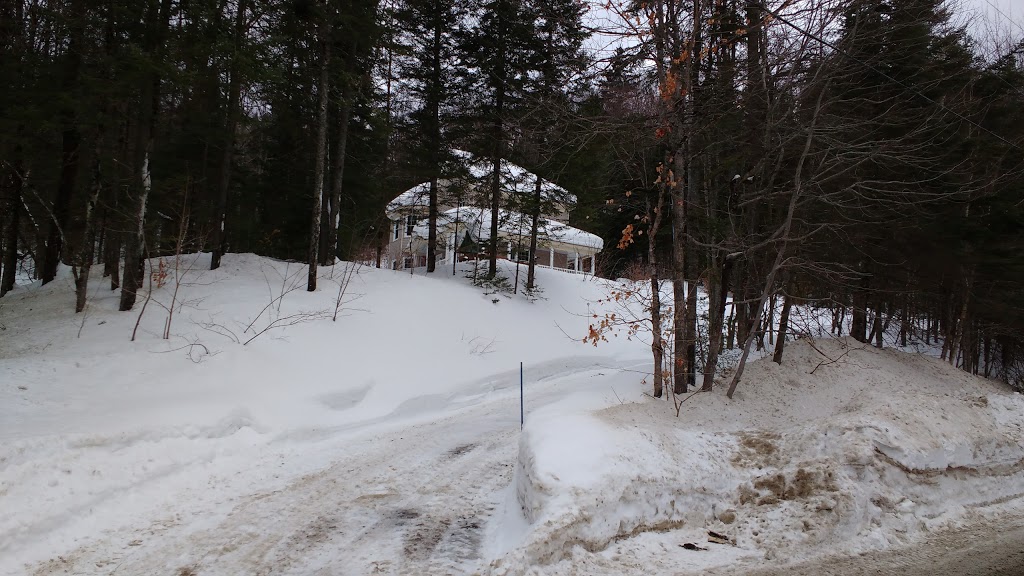 Parc Des Saphirs | 175 Rue Kildare, Sainte-Brigitte-de-Laval, QC G0A 3K0, Canada