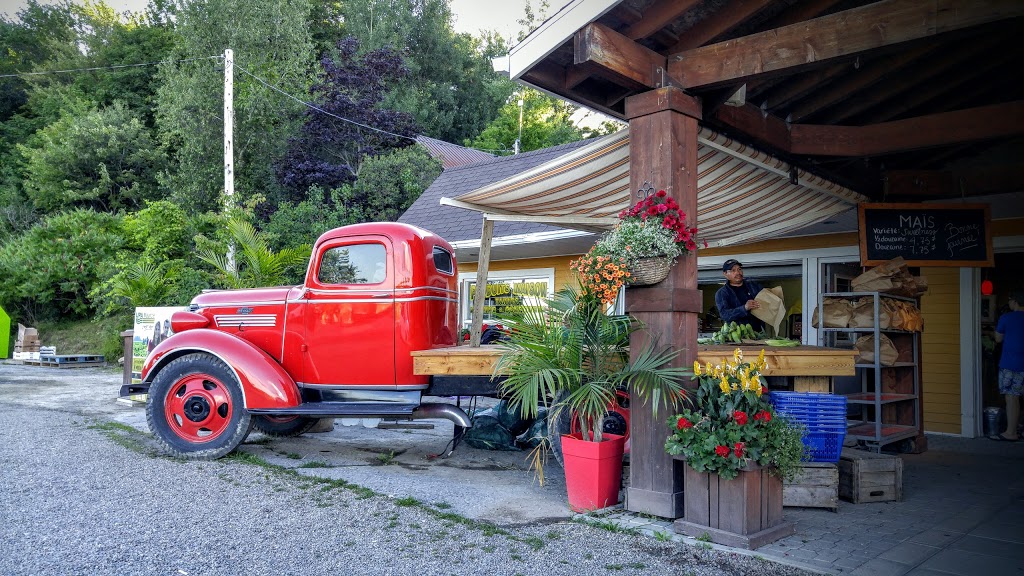 Ferme Horticole Gagnon | 8600 Chemin Sainte-Marguerite, Trois-Rivières, QC G9A 5C9, Canada | Phone: (819) 377-2360
