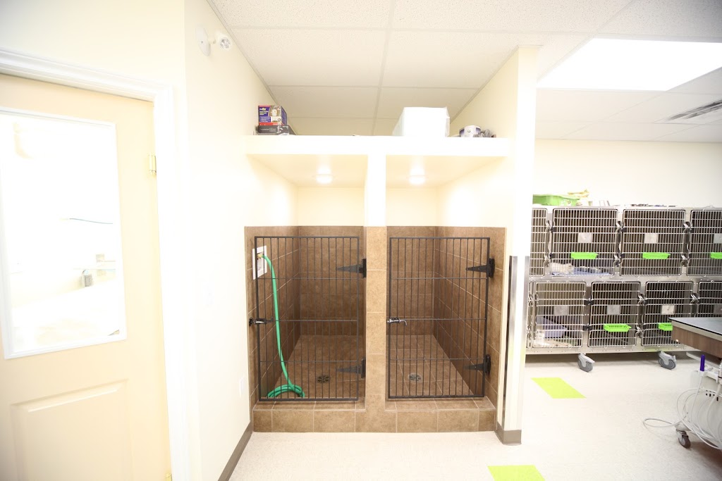 Oxford Animal Hospital | 15154 127 St NW, Edmonton, AB T6V 0C5, Canada | Phone: (780) 705-2131