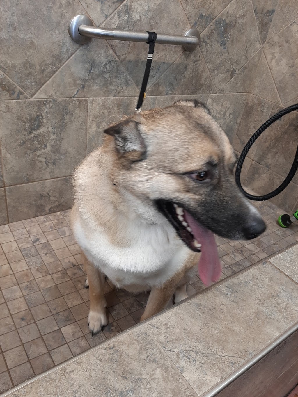 Pet Valu | 3 Reenders Dr, Winnipeg, MB R2C 5K5, Canada | Phone: (204) 654-9955
