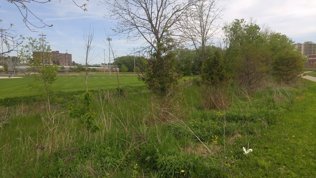 Peter Hallman Ball Yard | Alpine, Kitchener, ON N2C, Canada