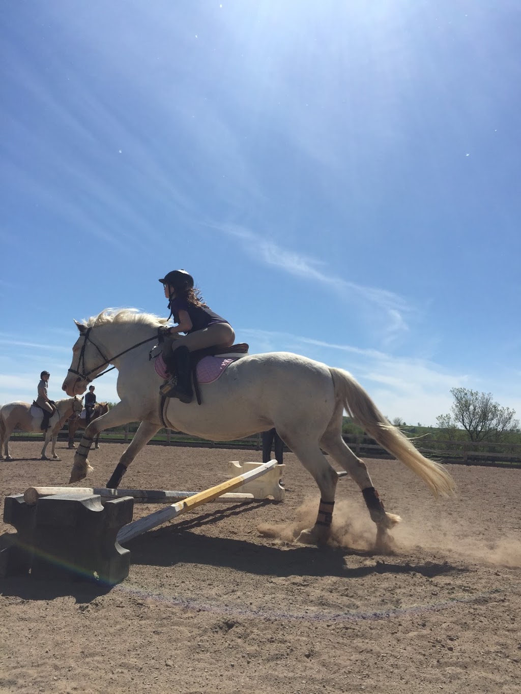 Saddlewood Riding Camp | 749 Bethany Hills Rd, Bethany, ON L0A 1A0, Canada | Phone: (705) 277-2029