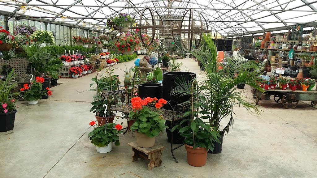 A&M Garden Centre and Sod Supply | 4171 Colonel Talbot Rd, London, ON N6P 1A1, Canada | Phone: (519) 652-3539